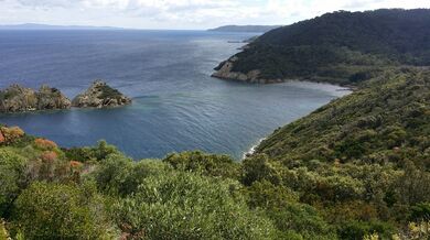Port-Cros
